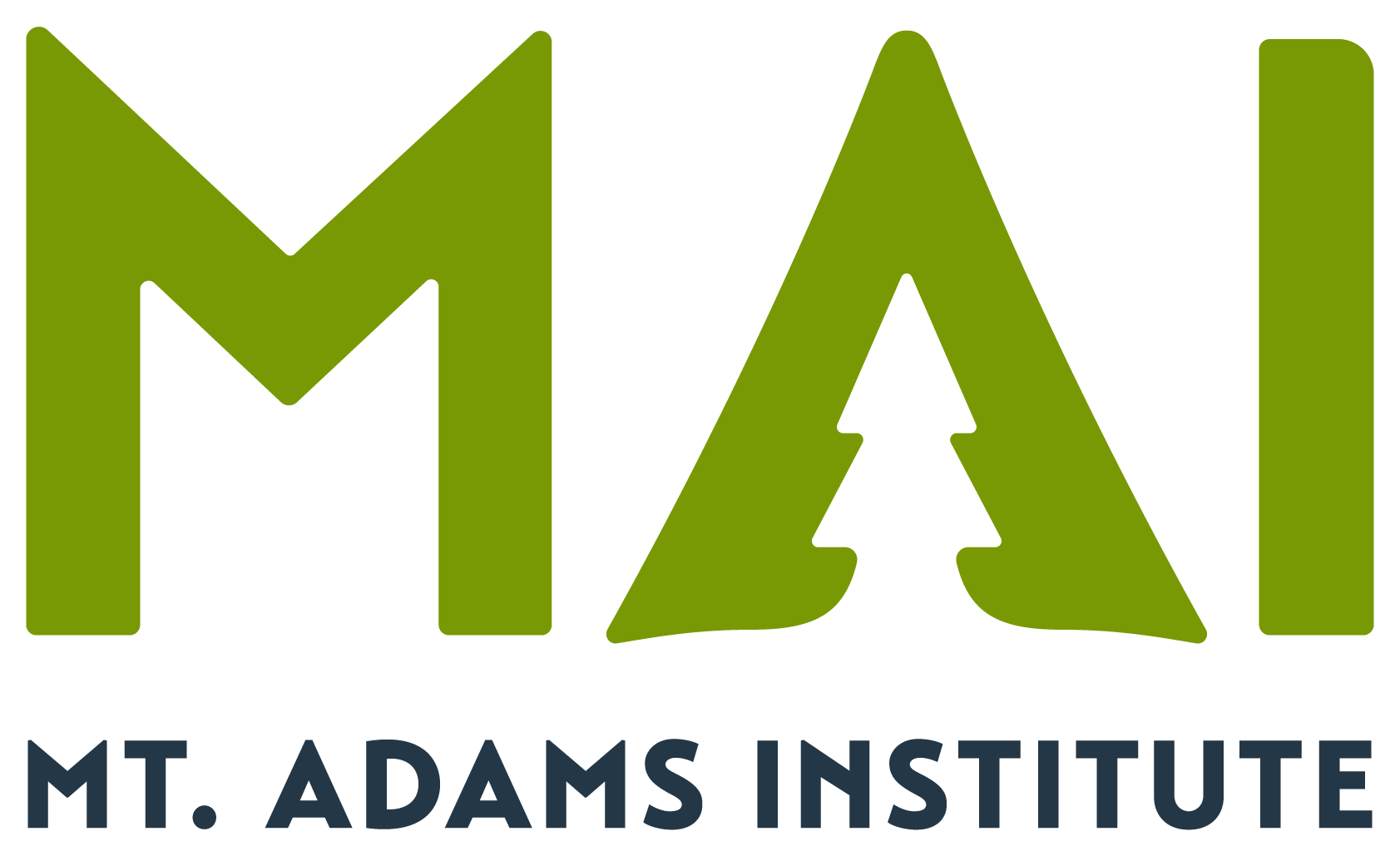 Mt. Adams Institute
